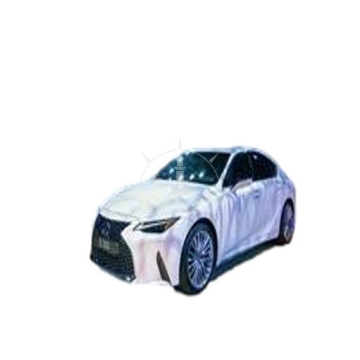 IS300 2021