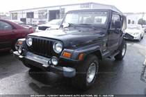 WRANGLER I 2001