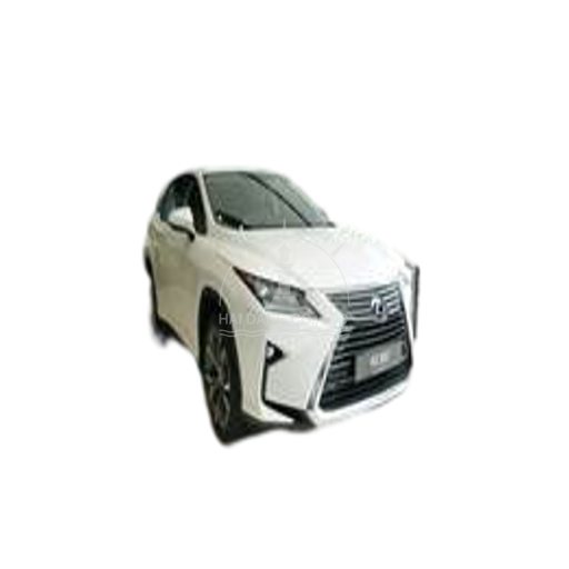 RX 2019-2021