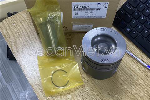 Piston STD 234102F910