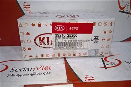 Cảm biến khí xả  3921025300