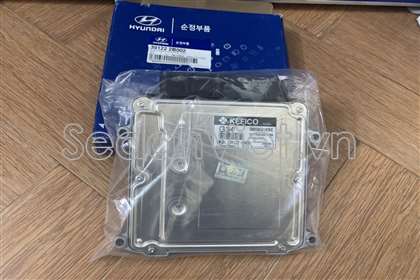 Hộp điều khiển trung tâm ECU 391222B002