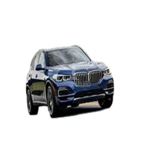 X5 2019