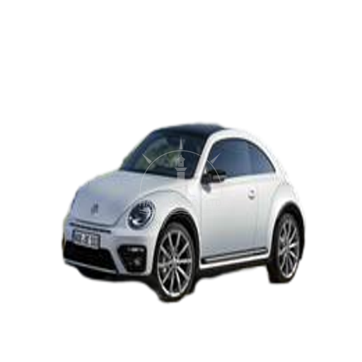 New Beetle 2017