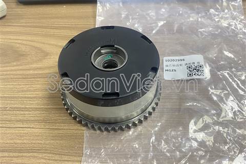 Bánh răng trục cam xả 10202996