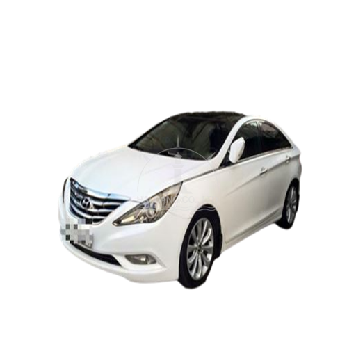 Sonata 2011