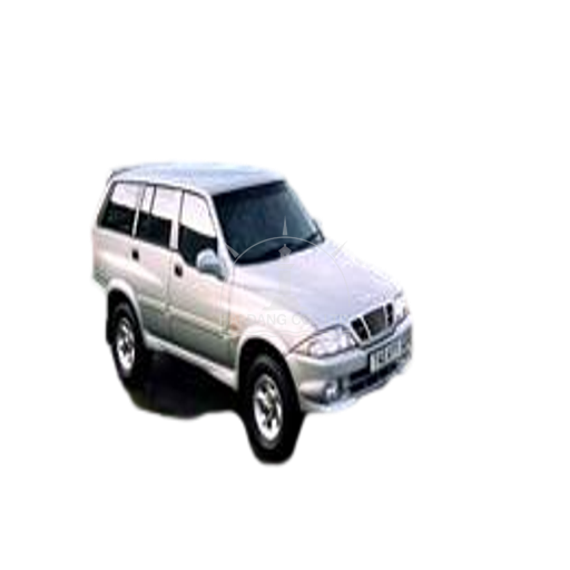 Musso 2002