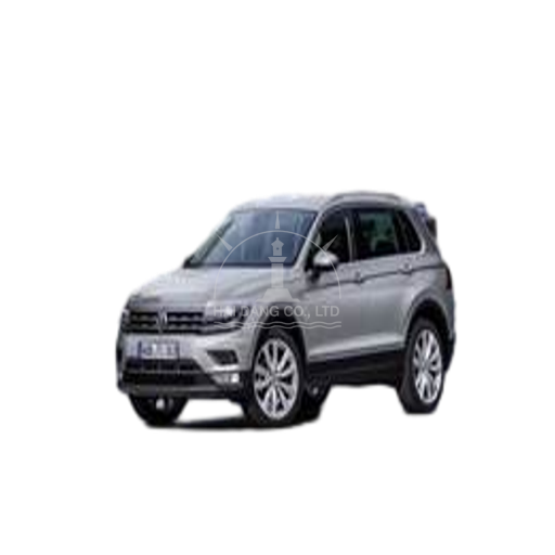 Tiguan 2017-2019