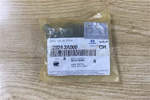 Phớt ghip 222243A000