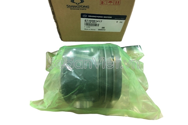 Piston liền xéc măng STD 6710301417