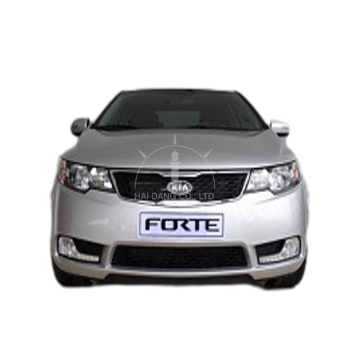 Forte 2013
