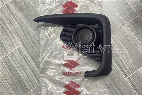 Ốp đèn gầm 7176173R005PK