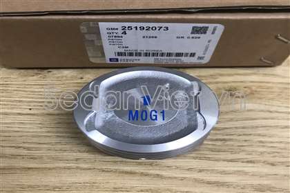 Piston STD 25192073